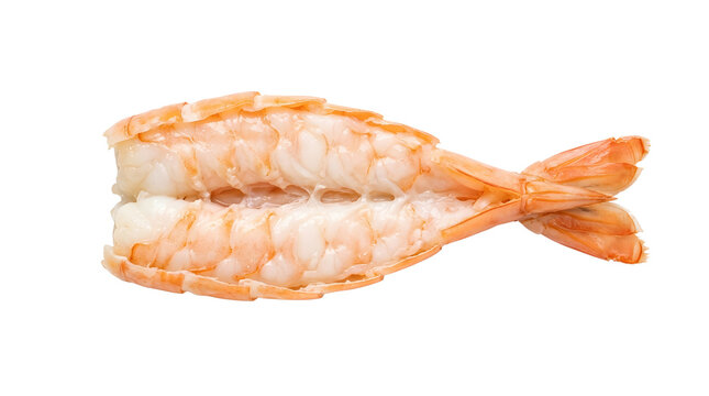 Butterflied Cooked Shrimp Opened Lengthwise With Tail Isolated