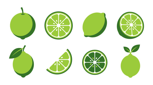 Fresh Lime and Citrus Fruit Icon Set, Green Vector Slices and Whole Lime Illustrations for Food, Beverage, Healthy Diet, and Organic Ingredient Illustrations