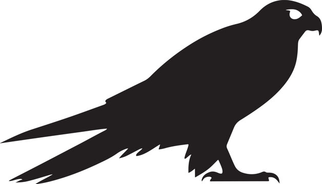 Falcon Bird Silhouette Wildlife Vector