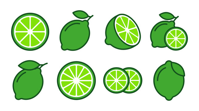 Set of Vector Illustrations of Fresh Green Lemon or Lime Whole, Half, Sliced and in Wedges; Colorful Citrus Fruits Flat Design and Cartoon Illustrations