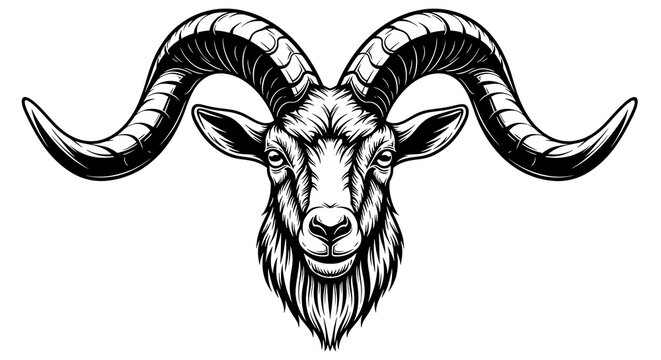 Black ram head with curved horns silhouette