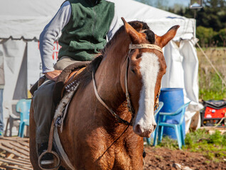  Gaucha en el campo con caballo © Fernando