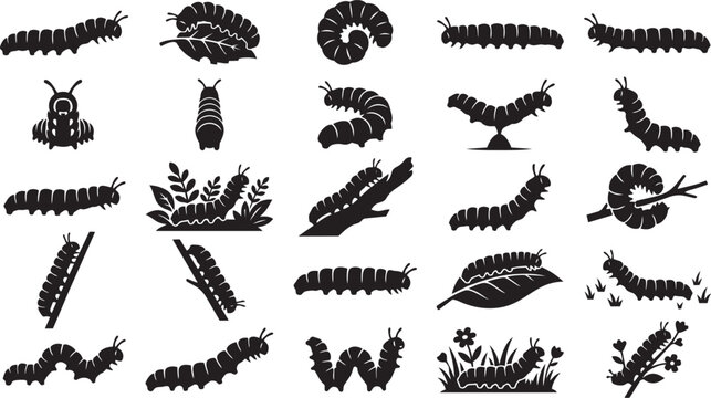 Caterpillar Silhouette Pose Set Garden Insect Black Vector Collection