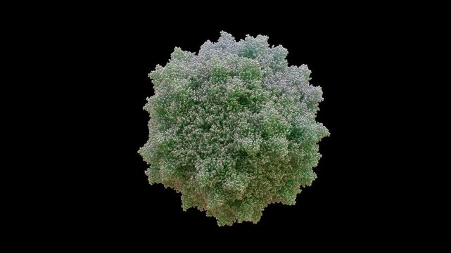 3D AAV7 Adeno-Associated Virus7 capsid, 60-mer, replication-defective non-pathogenic, high tropism for skeletal muscle, liver, CNS Primarily for muscular dystrophy and liver-mediated metabolic disease