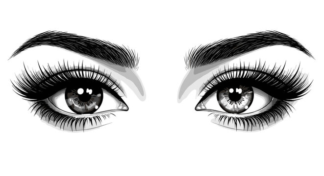 Detailed, female, eyes, vector, with, long, thick, eyelashes, and, groomed, eyebrows, professional, beauty, salon, illustration, for, lash, extension, makeup, artist.
