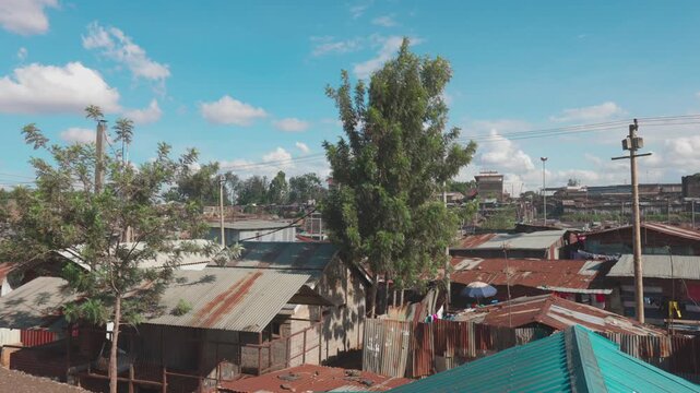 Nairobi, Kenya - 30 April 2024: View of corrugated metal rooftops and green trees under a blue sky in an informal settlement in Nairobi, Nairobi County, Kenya.