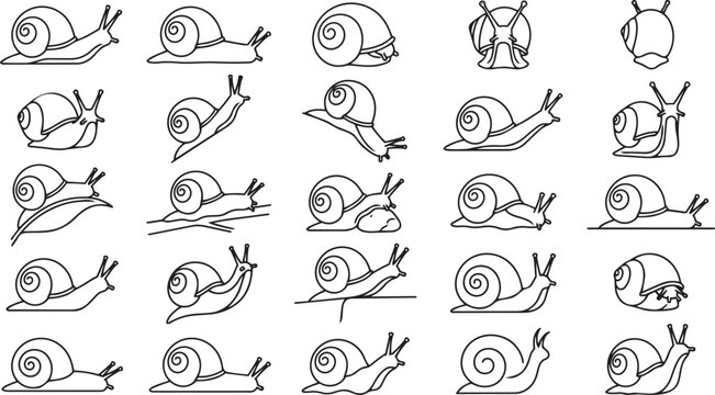 Snail Line Art Pose Set Garden Mollusk Outline Vector Collection