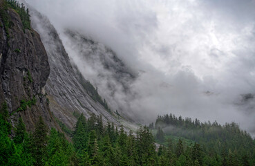 Obraz premium Mountains and trees under cloudy sky near a mountain range in a forest during a foggy day