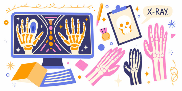 X ray Images And Skeletal Anatomy Colorful Vector Illustration