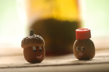 SERRAJA acorn with Diana acorn on a wooden background © oleg