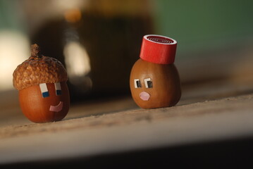 SERRAJA acorn with Diana acorn on a wooden background © oleg