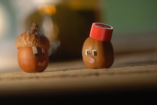 SERRAJA acorn with Diana acorn on a wooden background