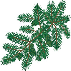 Fototapeta premium Pine tree branch with needles and small cones isolated on transparent background element.