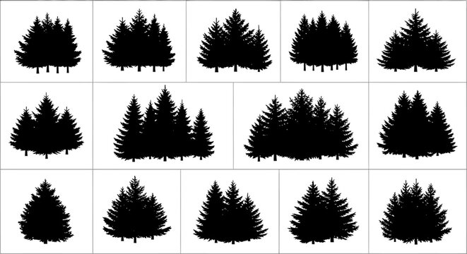 Collection of various pine tree silhouettes on white background