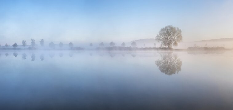 Lake with morning mist at dusk, trees reflected on the shore, Thuringia, Germany