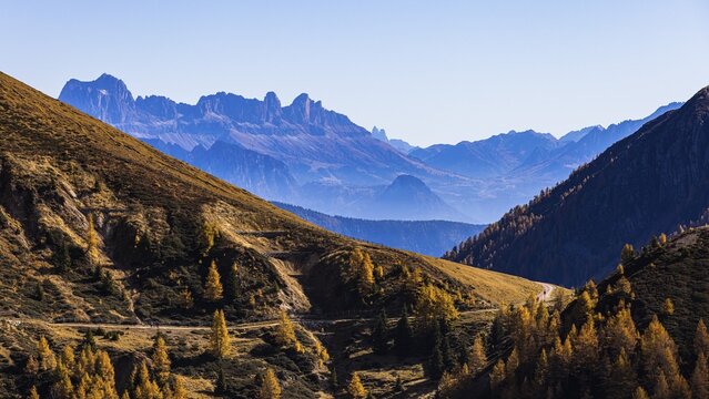 Hiking trail in autumnal mountain landscape, the mountain backdrop of the Dolomites in the background, Merano 2000 ski and hiking area, near Merano, South Tyrol, Italy
