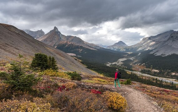 View to Mount Athabasca and Hilda Peak in autumn, hiker on the hiking trail to Parker Ridge, Jasper National Park National Park, Canadian Rocky Mountains, Alberta, Canada