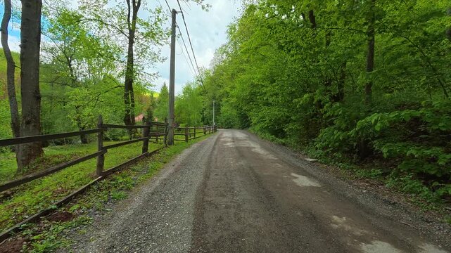 Rural path winds through lush green trees. Grza River Spring, Serbia