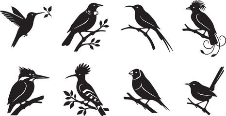 Wild Birds Silhouette Vector Set Featuring Hummingbird Kingfisher Hoopoe Sparrow and Exotic Avian Species Icons © MstHosneara