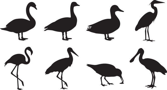 Water Birds Silhouette Vector Icon Set Featuring Swan Goose Duck Heron Flamingo Stork and Spoonbill