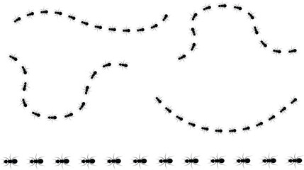 Ant walk icon set collection with insect trail, crawling ants path bug movement line and tiny animal silhouettes, black flat vector illustration elements isolated on white background for nature design © Asia