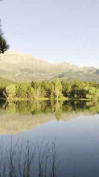 Mirror of Nature: Pristine Alpine Lake Surrounded by Evergreen Forests