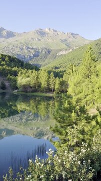 Breathtaking Wilderness: Majestic Mountains and Lush Pines by the Water