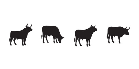 Fototapeta premium Four rearing bull silhouettes in dynamic poses, isolated on white for aggressive animal art, logo, poster, and print use.