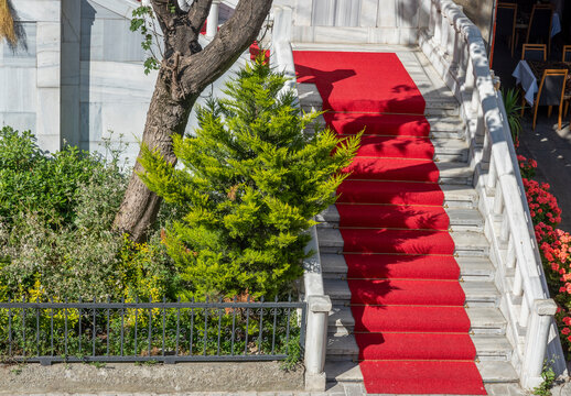 Red carpet leads up to a staircase next to a tree and bushes in a garden setting with dining tables nearby