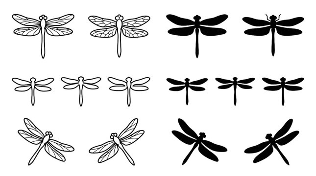 Dragonfly Icons Outline and Silhouette Insect Vector Art for Nature and Wildlife Designs
