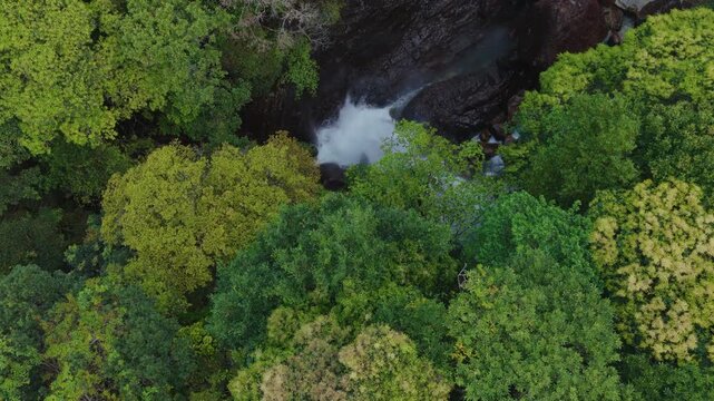 Flying over powerful waterfall in rocky gorge in forest on Yakushima, Japan