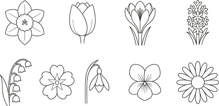 3D isometric spring flower icon vector set with luxury golden enamel tulip daffodil daisy and pansy pin badges