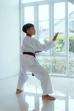 Young boy practices taekwondo stance in indoor training space during the day