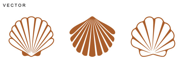 Scallop Shell Icons, seashell vector art, scallop shell line art and solid silhouette, Vector illustration © Badman
