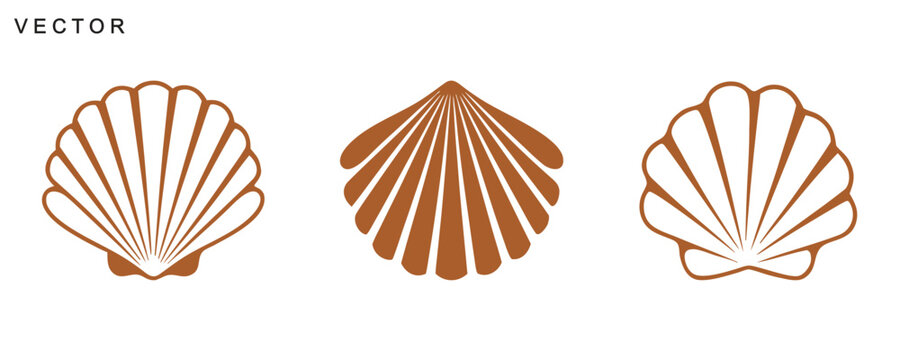 Scallop Shell Icons, seashell vector art, scallop shell line art and solid silhouette, Vector illustration
