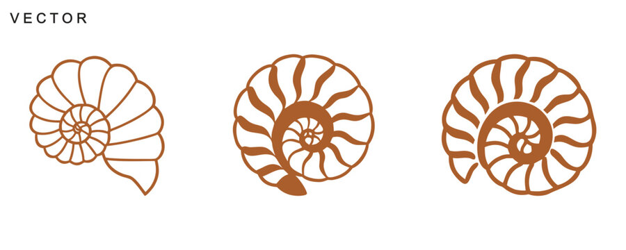 Scallop Shell Icons, seashell vector art, scallop shell line art and solid silhouette, Vector illustration