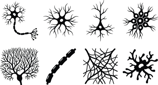 Black neuron cells and nerve system structures vector icons set isolated on a white background for medical education design