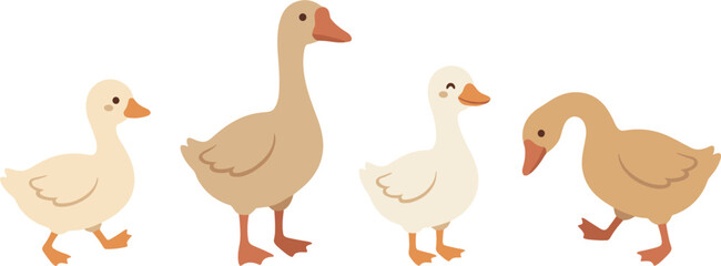 Cute Farm Geese and Ducks Vector Clipart Set Featuring Swimming and Walking Waterfowl Birds for Kids Books and Educational Nursery Designs © MdSaddam