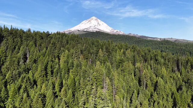 The iconic Mt. Hood is surrounded by national forest and spans all the way to the Columbia River Gorge in Oregon. This scenic and wild area, close to Portland, offers year-round recreation.