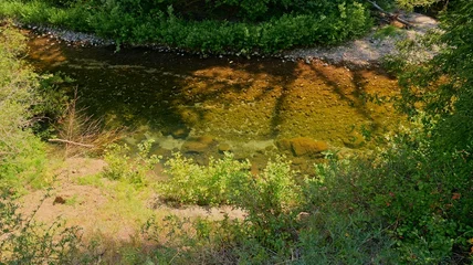 Fototapeten Wald Fluss River flowing on a sunny day  © spencer