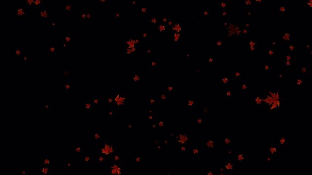 Maple leaves drift through the dark night air in this artistic seasonal display that evokes a sense of autumn transition and natural beauty.