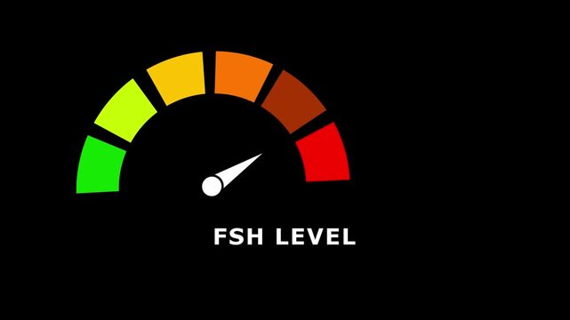 Gradient scale FSH level measuring device icon. Sign tachometer, speedometer, indicators.Risk management gauge with color-coded segments and needle. 4k video