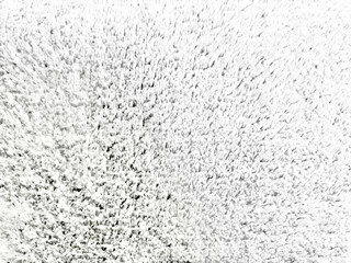 white fleece texture provides an organic abstract background showcasing soft minimalist wool pile in clean light © Arthur