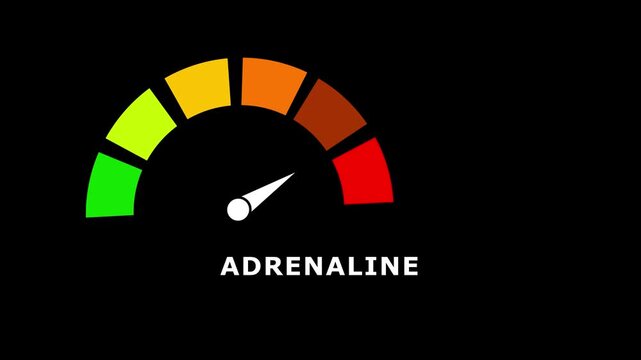 Gradient scale Adrenaline level measuring device icon. Sign tachometer, speedometer, indicators.Risk management gauge with color-coded segments and needle. 4k video