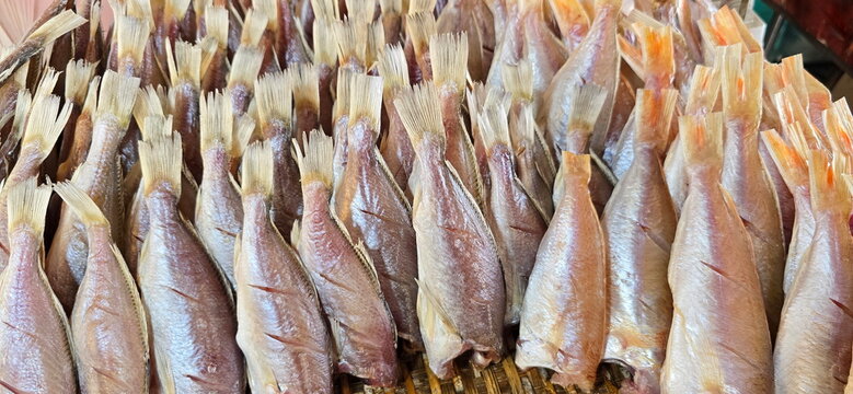 Threadfin bream is sun-dried as a method of food preservation. Sun-dried fish (fish lightly salted and dried in the sun for half a day to a day). Ornate Threadfin Bream dried arranged in bamboo basket