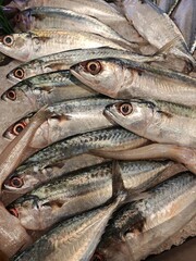 Obraz premium Fresh Mackerals for sale in market