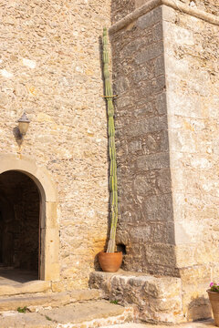 Giant cactus on the outside of a greek cloister