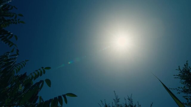 Heatwave and zenith burning sun in midsummer