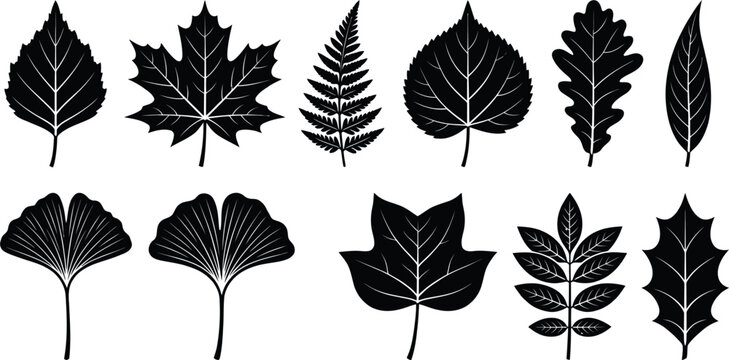 A collection of ten distinct black silhouettes of various botanical leaves arranged in two rows on a clean, solid white background surface