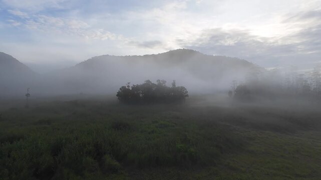 FPV aerial view of misty landscape at Ranca Upas Ciwidey with fog covering green fields and hills under a soft morning sky Kecamatan Rancabali, Jawa Barat, Indonesia.